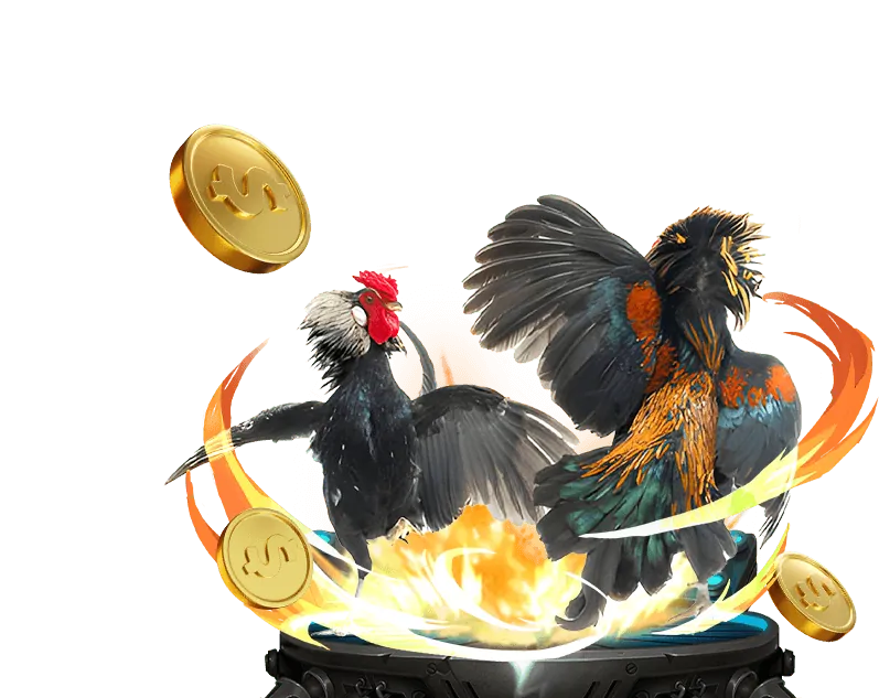 Hướng dẫn tải ứng dụng đá gà cho Android