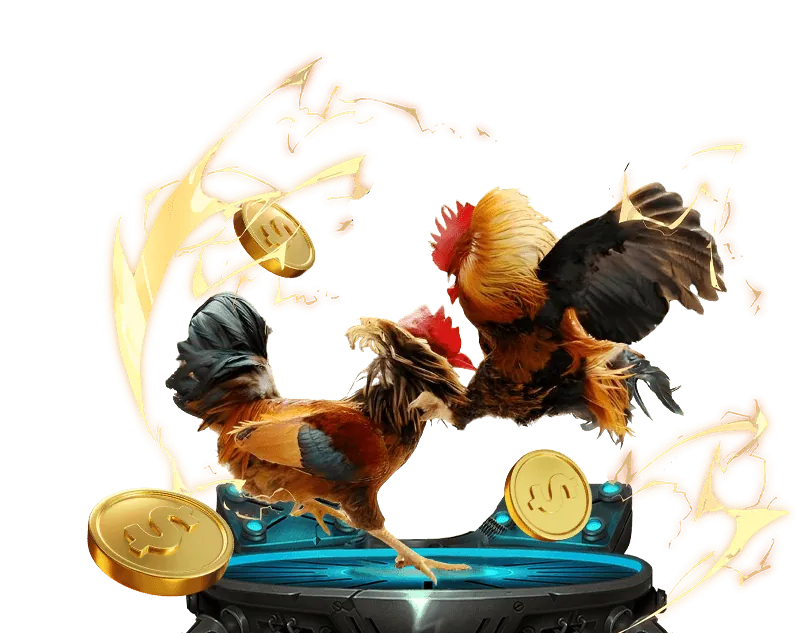 Hướng dẫn chọn nền tảng đá gà trực tiếp